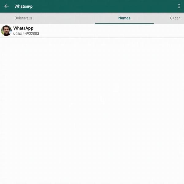 WhatsApp Namen anzeigen statt Nummern